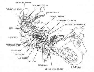 Fuel cut-off relay.jpg